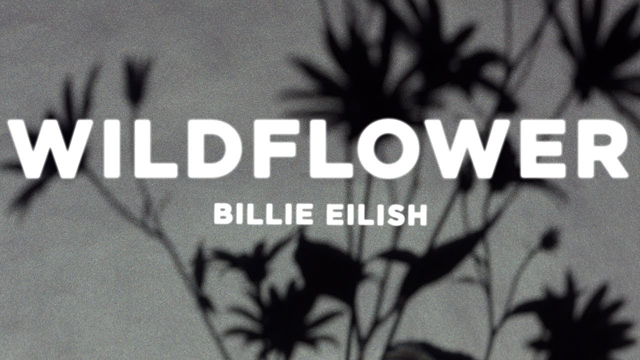 Billie Eilish - WILDFLOWER (Lyrics) sped up