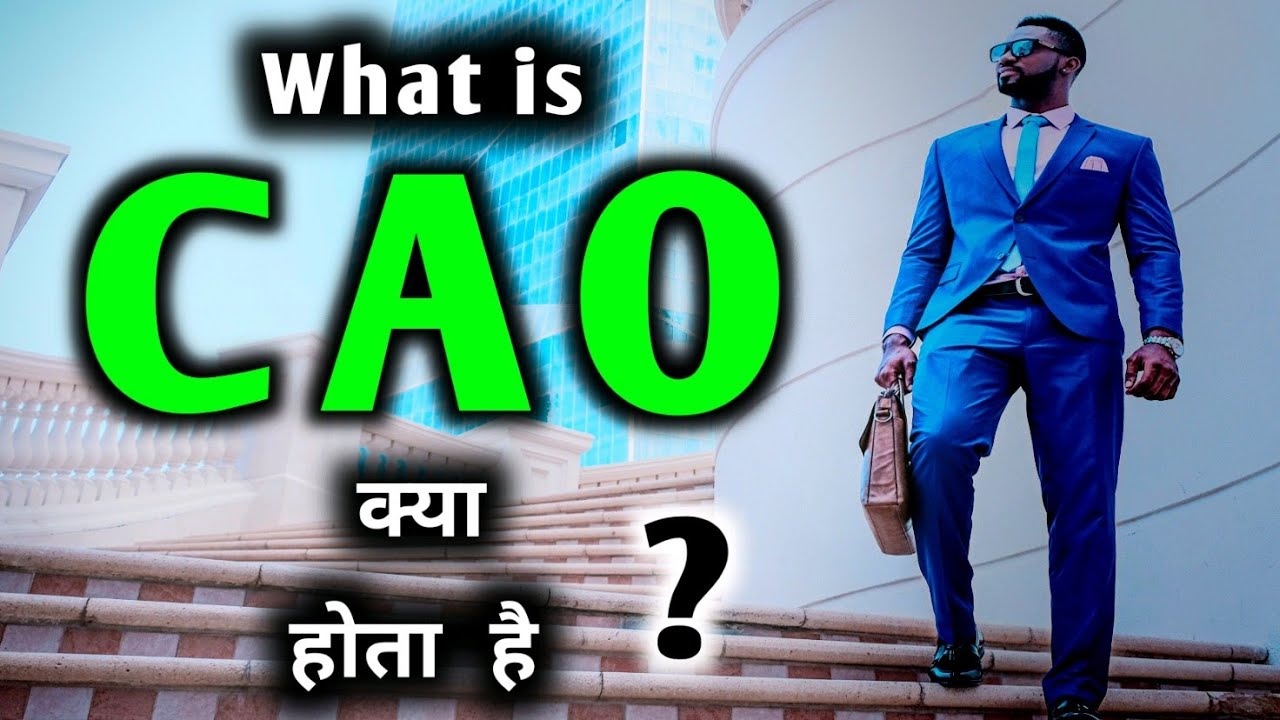 what is CAO | CAO क्या होता है ? | meaning of CAO | CAO work in organization |  CAO Hindi | fulltell