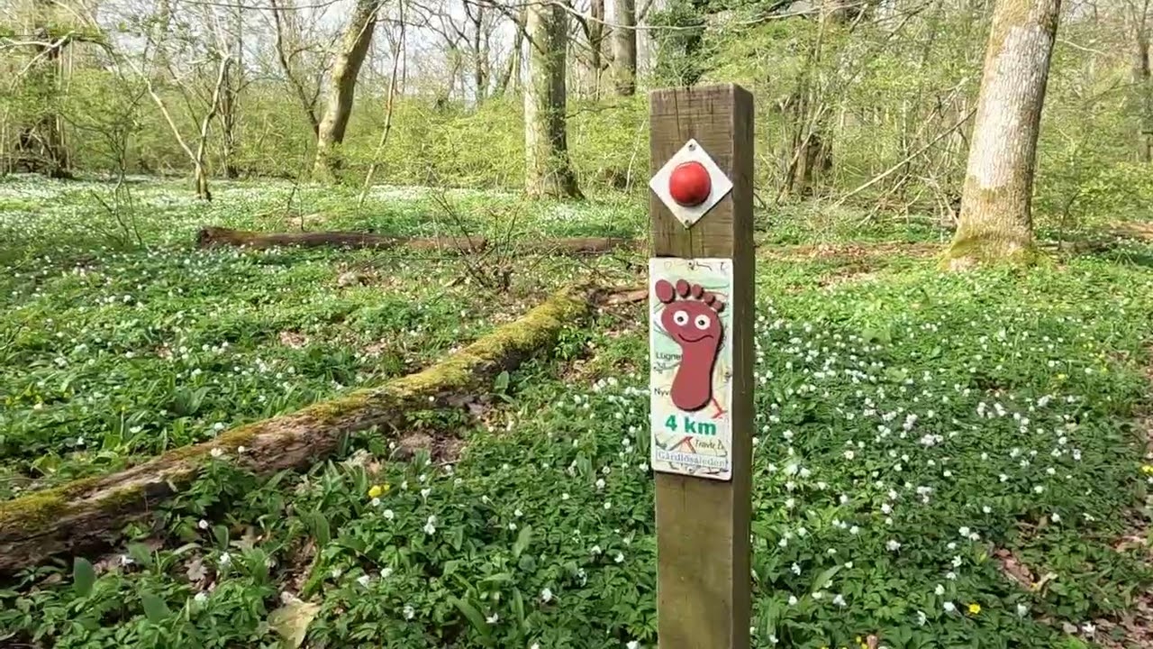 Vandringsleden Gårdlösaleden från Smedstorps station mellan Tomelilla och Simrishamn, 12 km