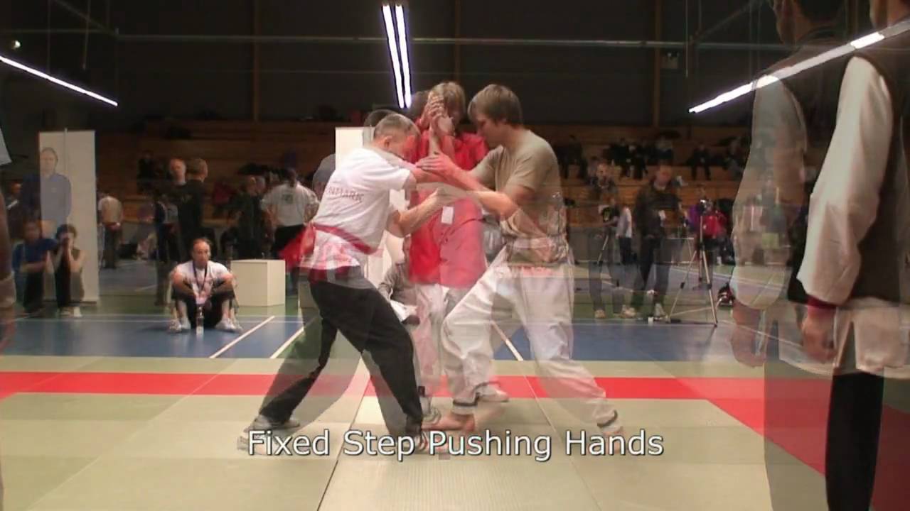 Tai Chi Pushing Hands Torben Rif - TCFE EC 2008