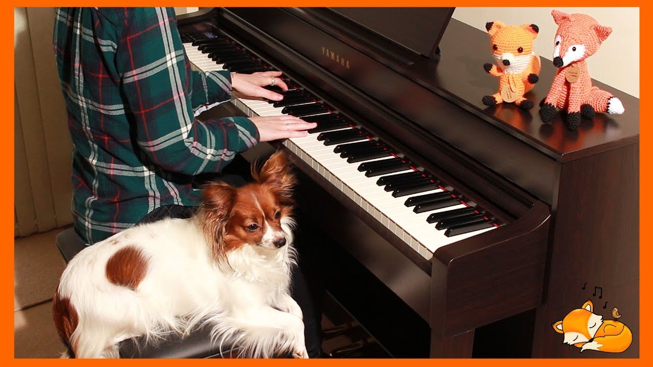 (Piano) Cover of College - A Real Hero (Drive Soundtrack)