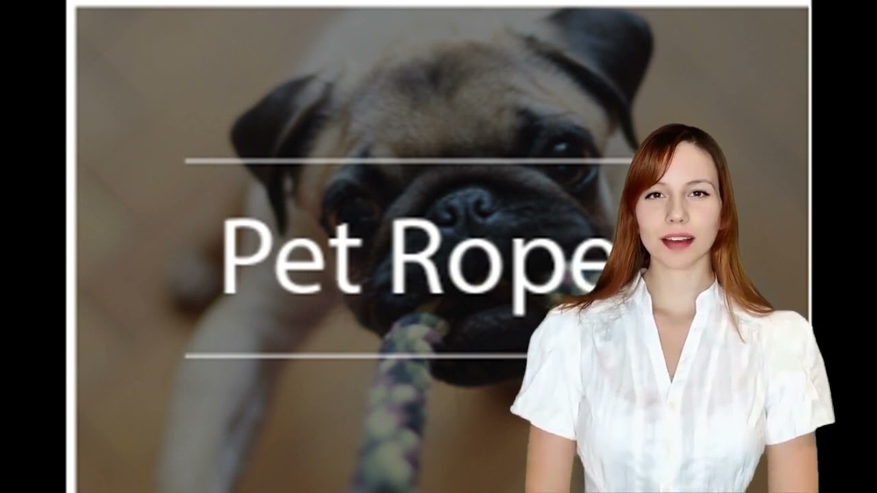 Where To Buy Pet Supplies Online In New Rochelle | Free Delivery For Quality Pet Supplies