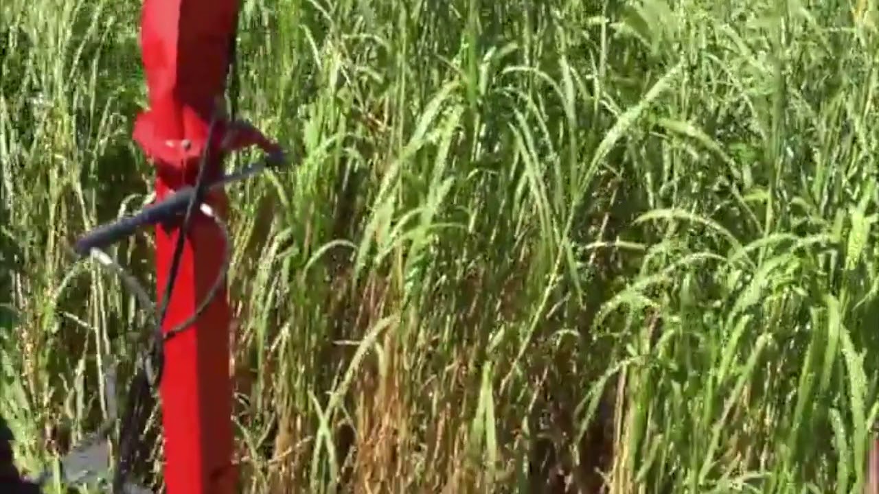 Ensiladora fimaks mcx10