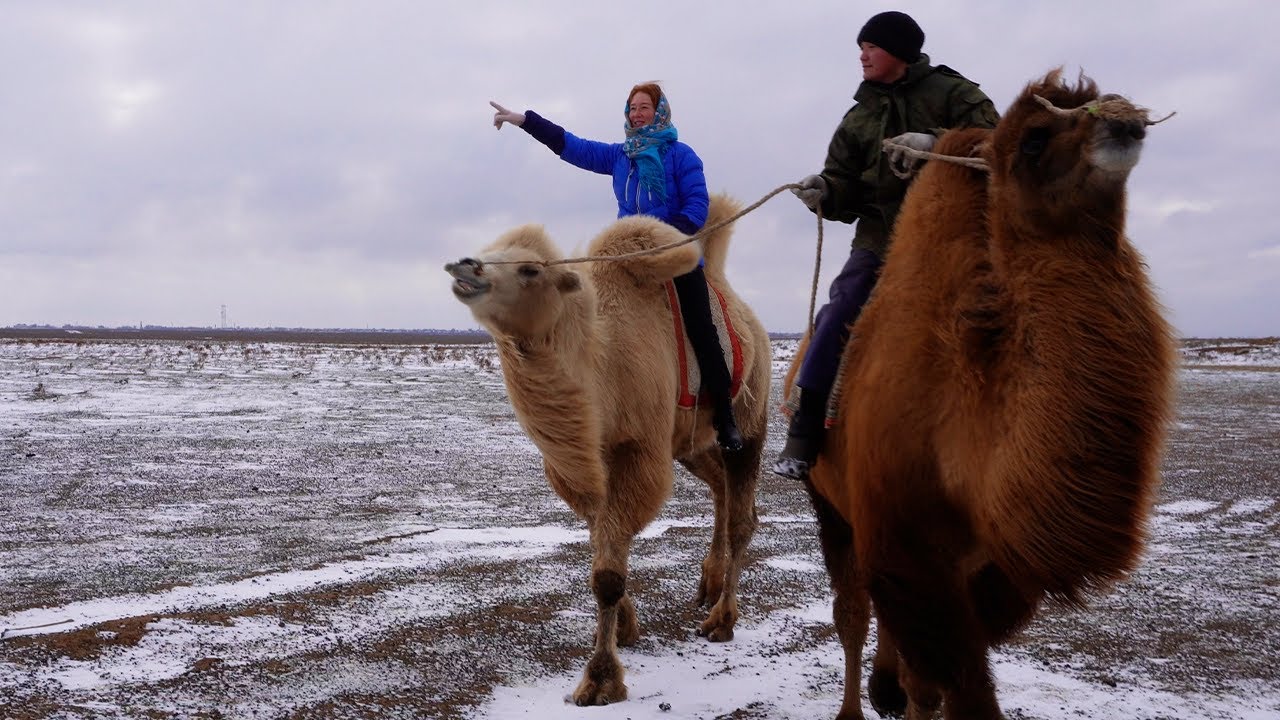 Путешествие по буддийской республике Восточной Европы... на верблюде