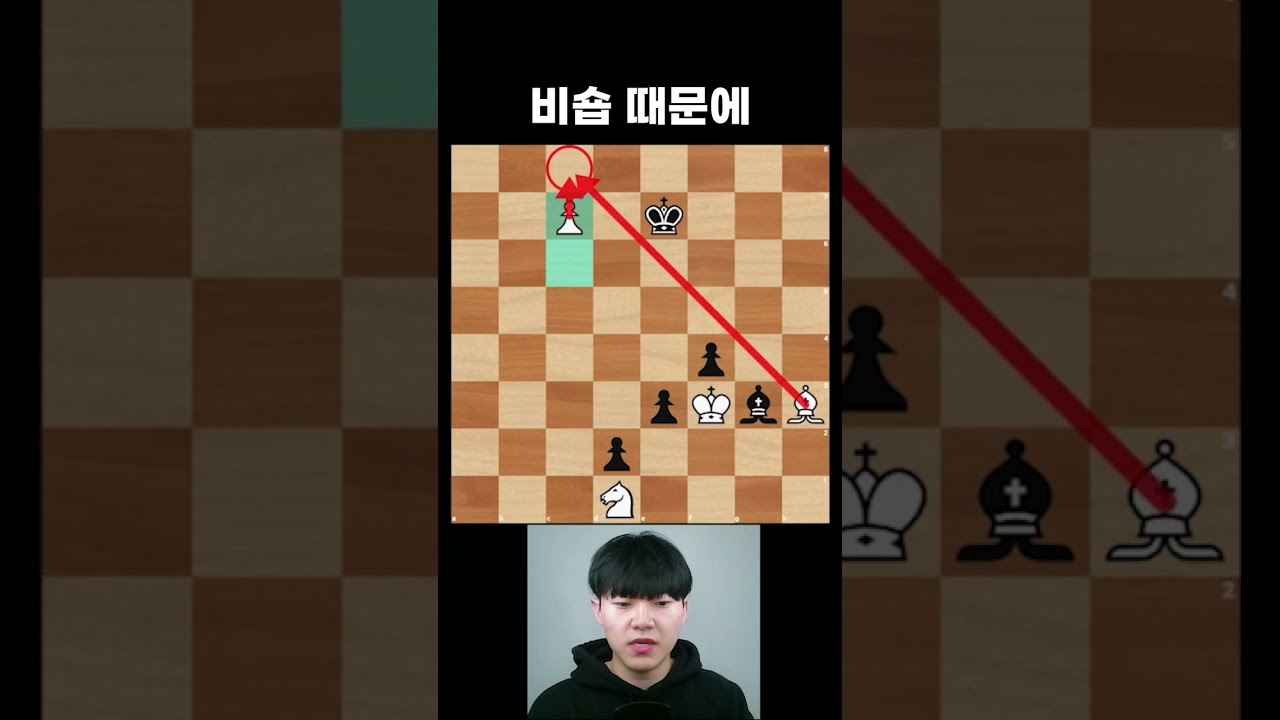 언더 프로모션 장인 히카루 나카무라