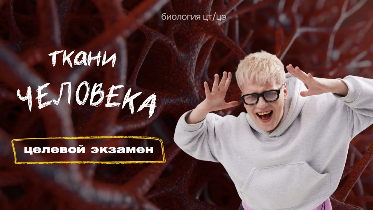 ТКАНИ ЧЕЛОВЕКА | Целевой экзамен