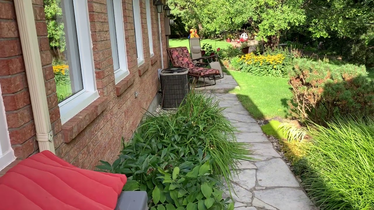13 Ratan back yard