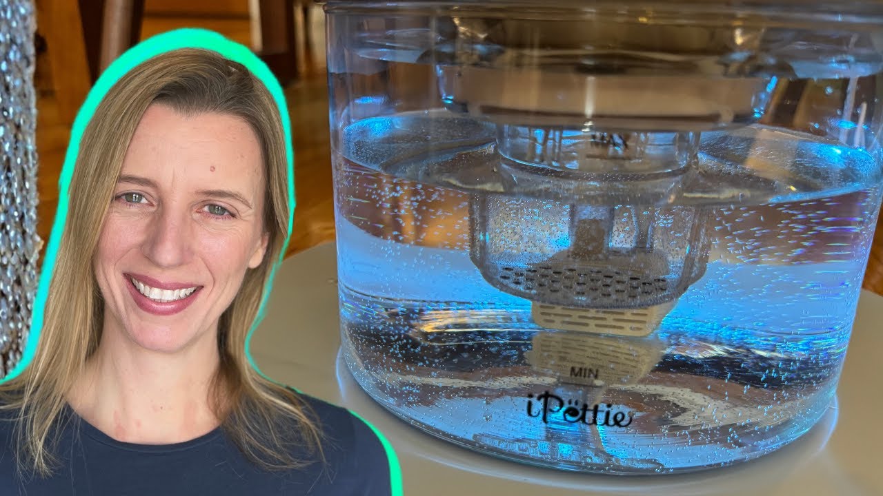 What's The BIGGEST Advantage of Glass Water Fountains For Pets?