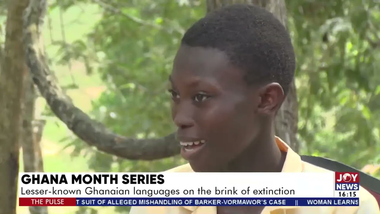 Lesser-known Ghanaian languages on the brink of extinction - The Pulse on Joy News (2-3-22)