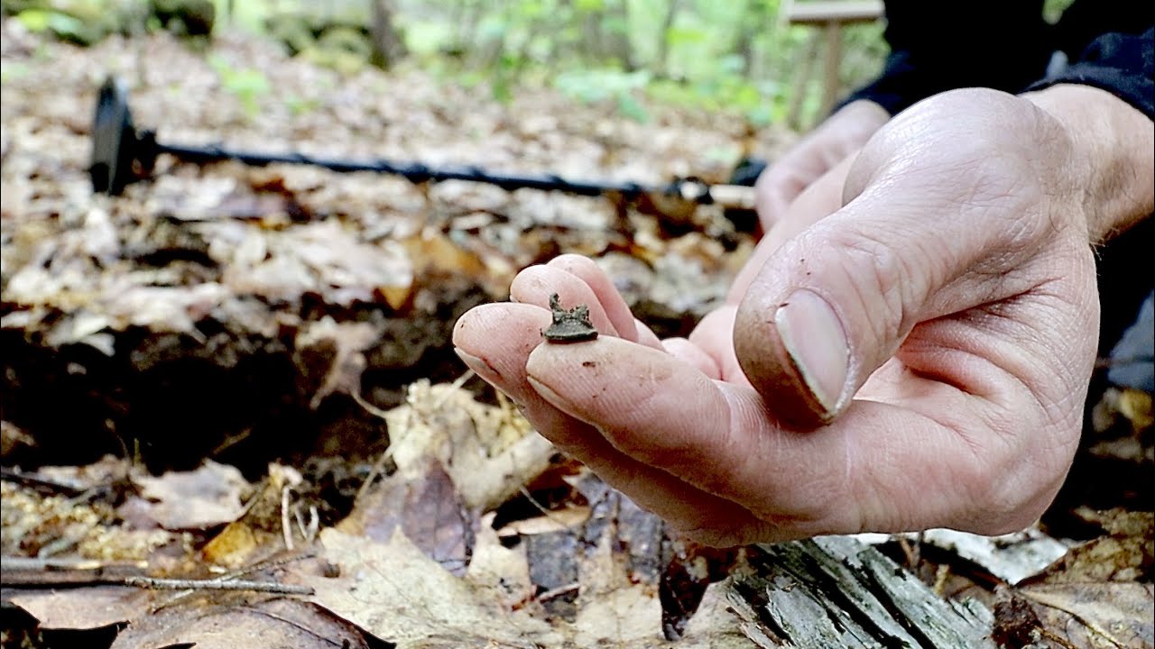 Getting down to Finding the really small stuff metal detecting cellar holes