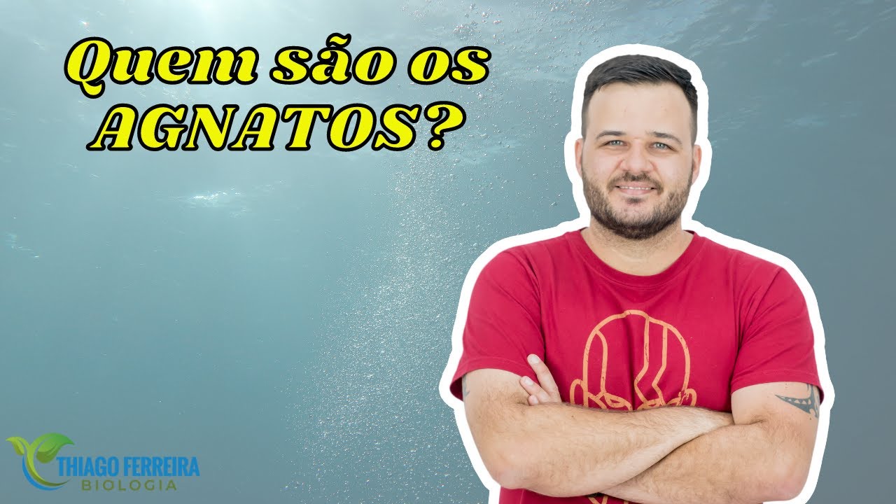 QUEM S&Atilde;O OS AGNATOS? - (AULA 37) - ZOOLOGIA - PROFESSOR THIAGO FERREIRA