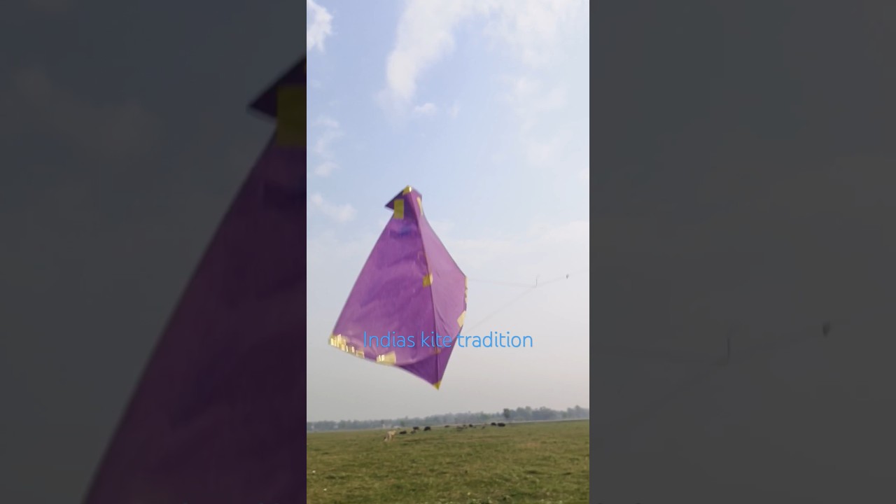 Addhi patang-sankrail ground Howrah#kite #patang #kiteflying #shorts ⭐⭐⭐⭐⭐⭐⭐⭐⭐