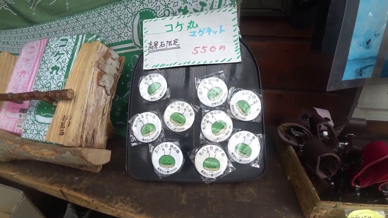 八ヶ岳_ファーストハイク縦走