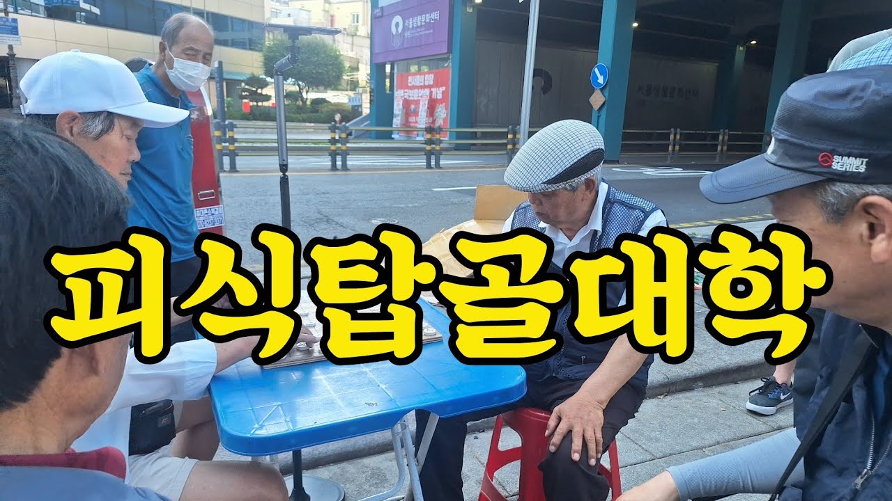 재미없음 환불(Xiangqi, 象棋)(Shogi, 将棋)(Chaturanga)(Cờ tướng)