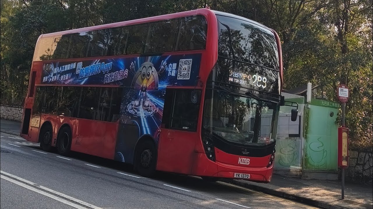 「特見288縮水」288 E6M126車牌YK 1370