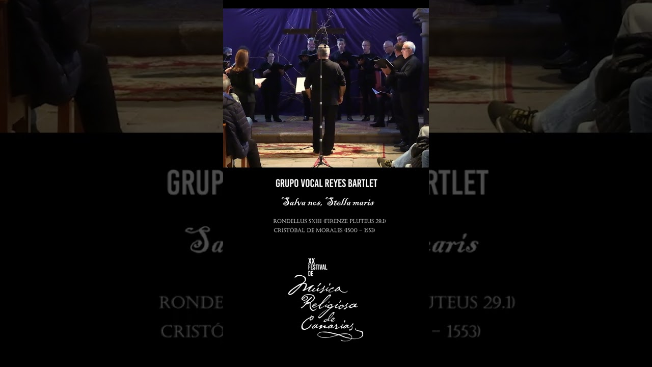 🎶 ¡Noche inolvidable en Güímar!