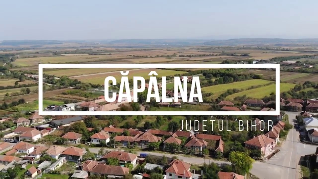 Căp&acirc;lna jud. Bihor Romania / DJI Mavic Air 2