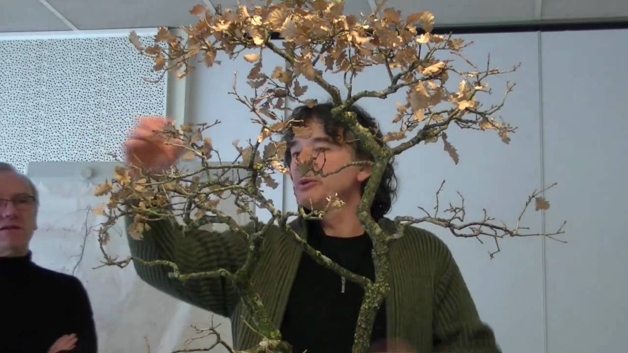 (HD45) L'arbre et le geste avec Thierry FONT / Vidéo1