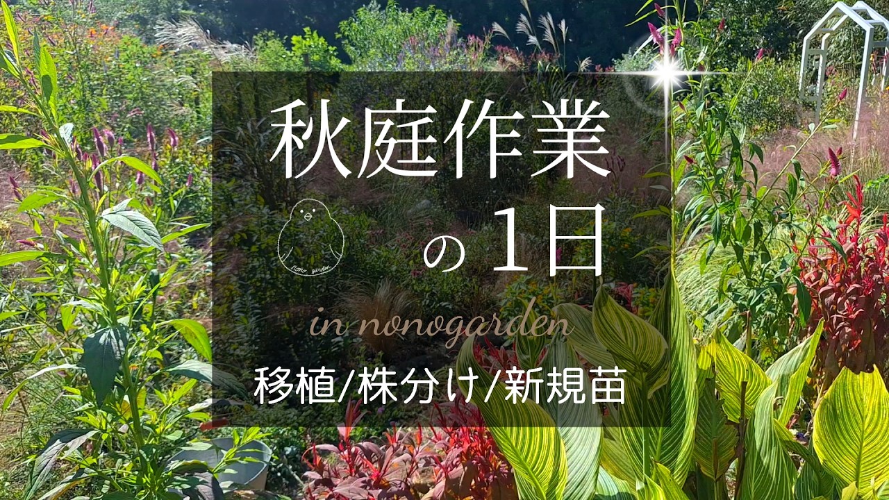 ガーデニング 秋｜購入苗紹介 ｜秋は庭改革のチャンスです!!｜