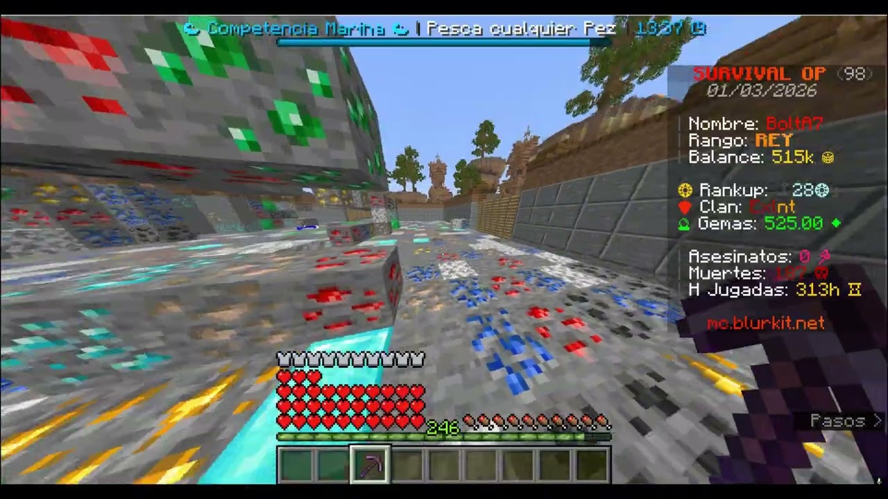 Minecraft Server Blurkit