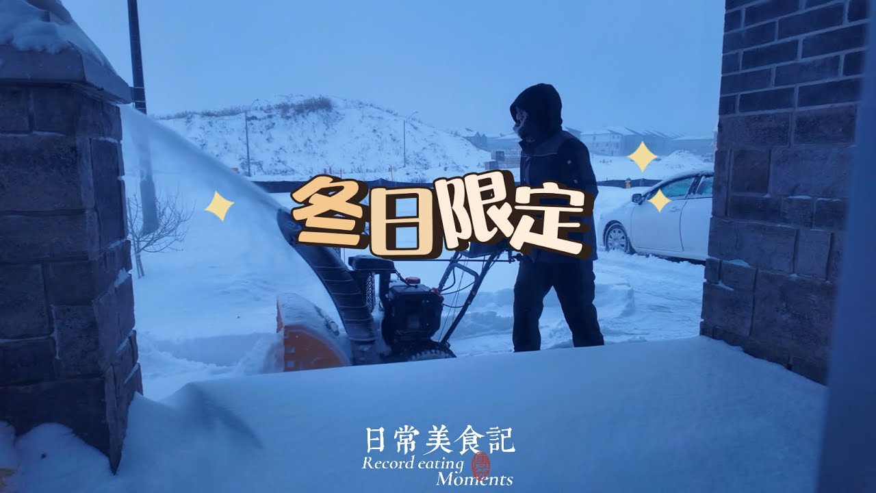 🇨🇦连夜30厘米的雪暴什么体验，这回连学校也关门了！还要冒着风险出门