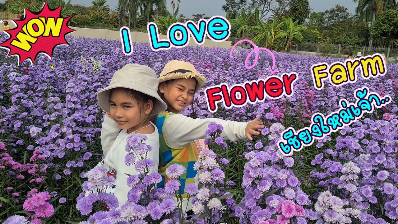 I Love Flower Farm เชียงใหม่เจ้า