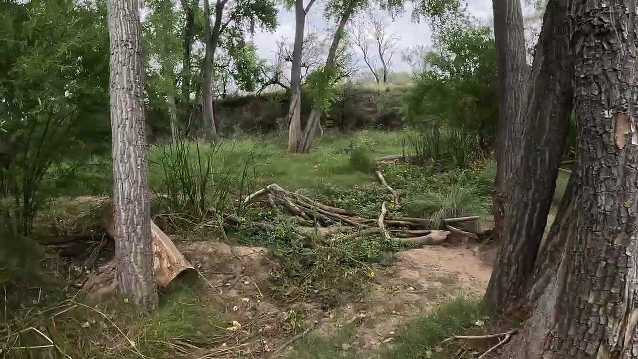 Arizona: Empire Gulch