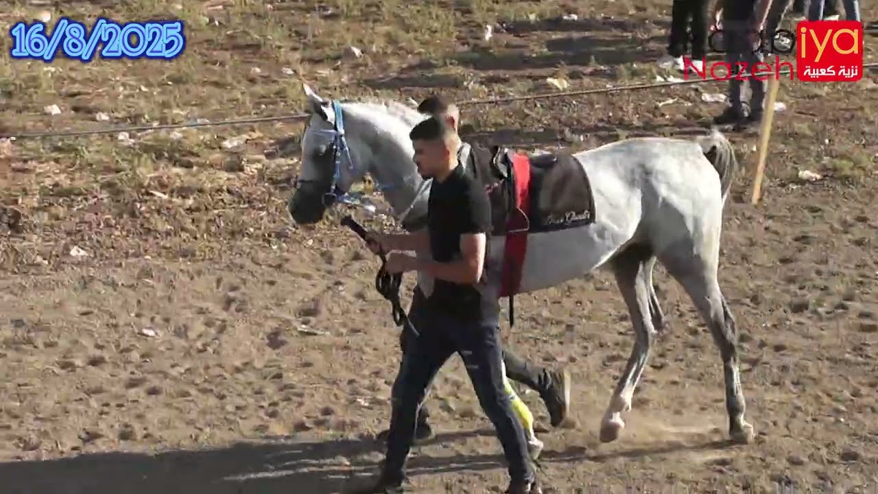 شوط ذكور جروب 3 قسام ترو دسيبرادو قسوره ميدان الأحلام البطوف كفرمندا 16/8/2025 