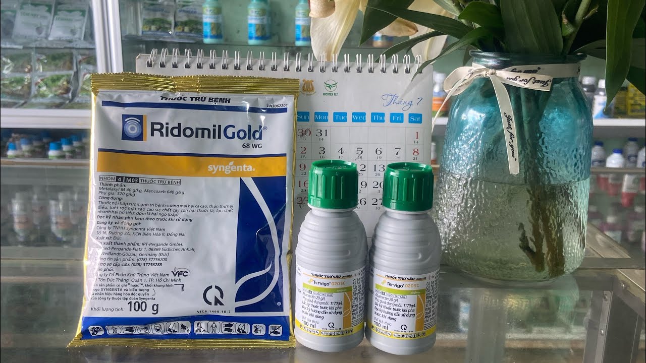 Ridomil Gold+Tervigo cặp đôi hoàn hảo đặc trị nấm và tuyến trùng#caytrong#thuocbvtv