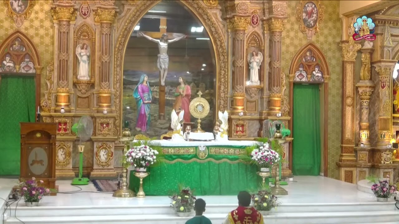 Benediction Fr Samuel Rayer msfs