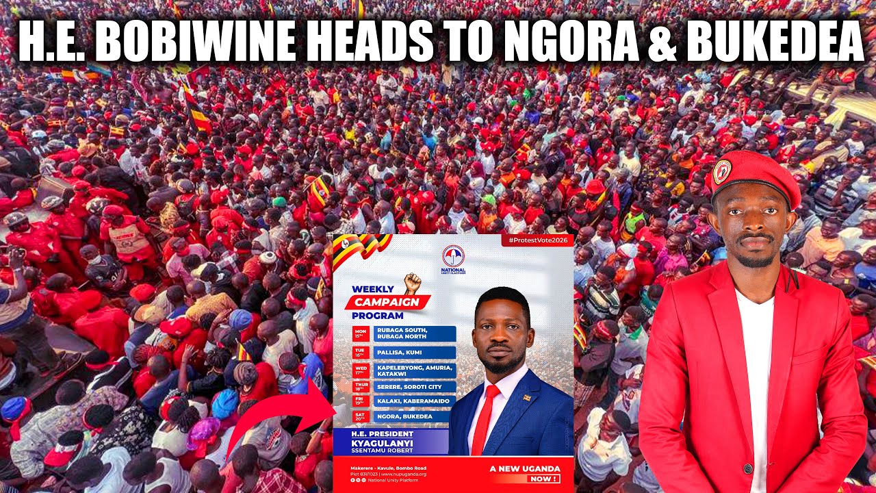 Его Превосходительство Бобивайн направляется в Букедеа и Ногру | Полный обзор событий вчерашнего дня