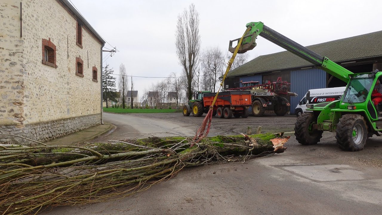 Des Arbres sont Tombés avec la Tempête !
