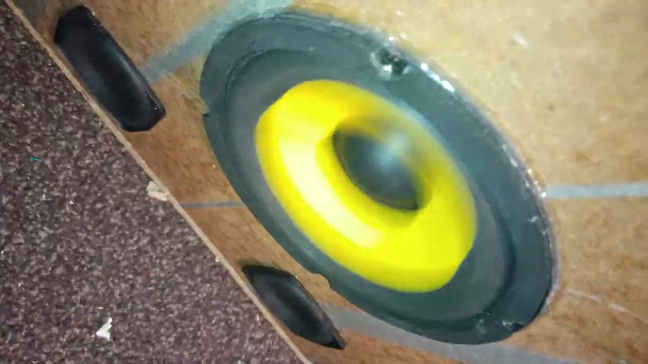 Chinese subwoofer flex