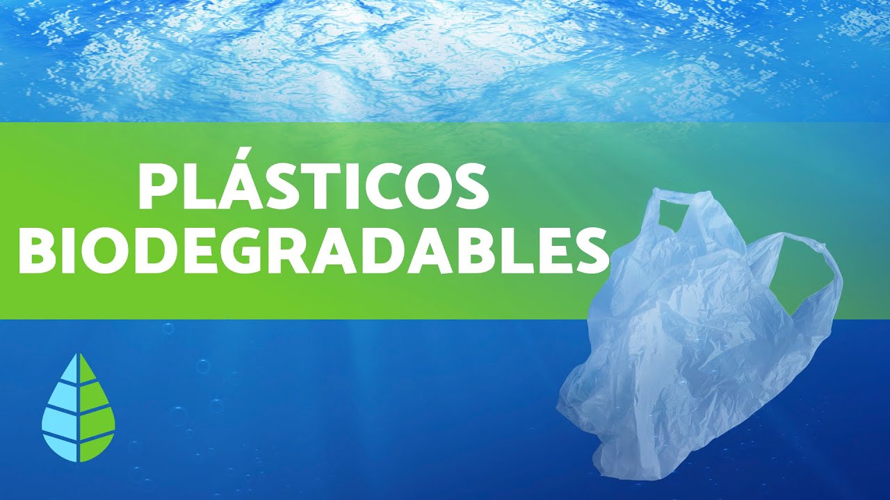 &iquest;Qu&eacute; son los PL&Aacute;STICOS BIODEGRADABLES?