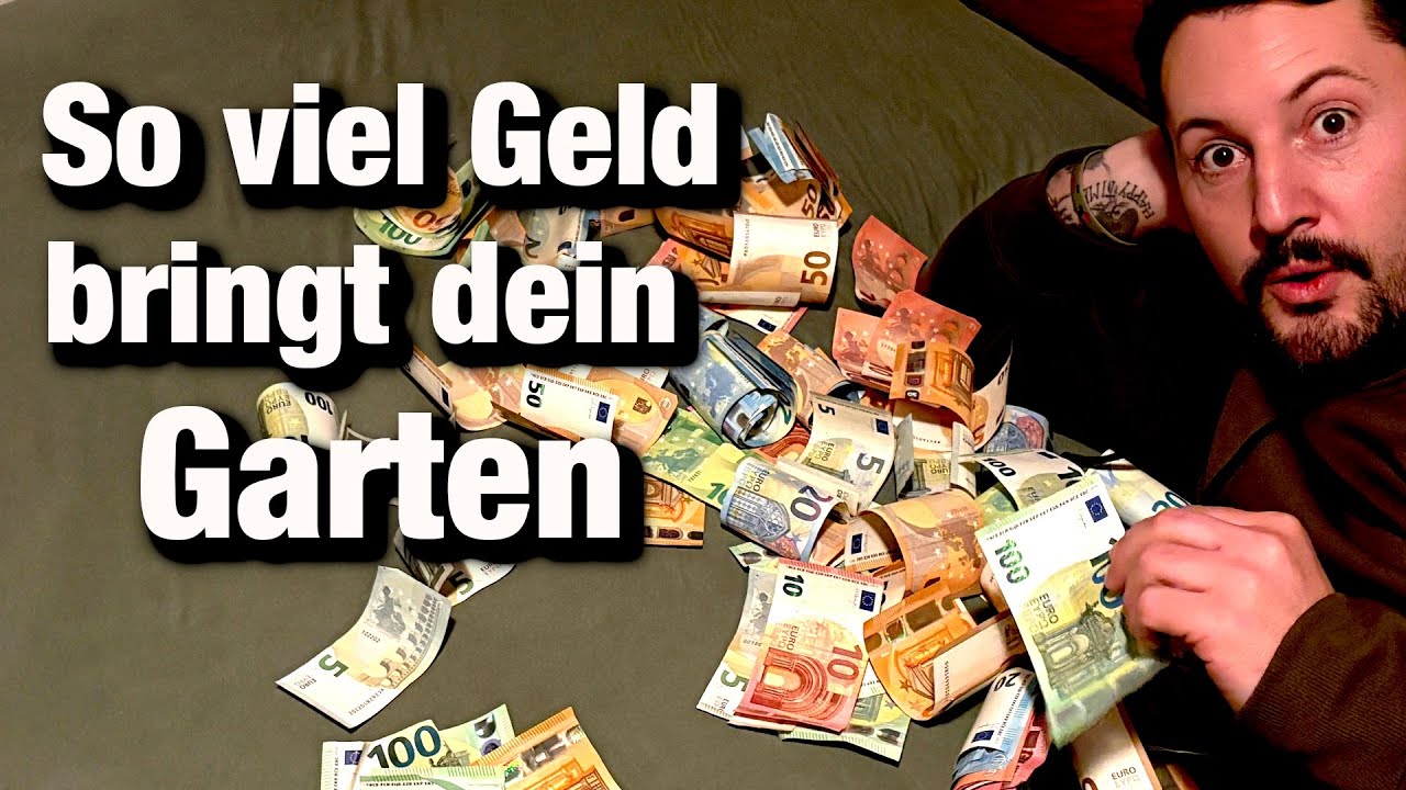 Lohnt sich ein Gemüsegarten? Meine komplette Jahresbilanz in Euro