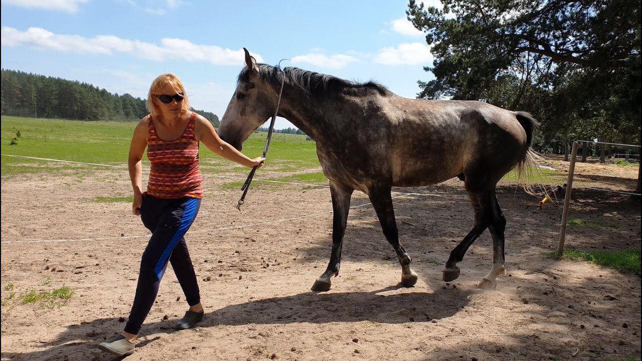 Izjādes ar zirgiem ''Agates