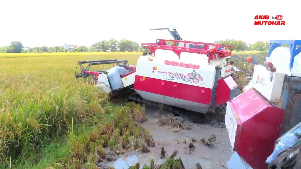 COMBINE PANDAWA - MAXXI BIMO 102