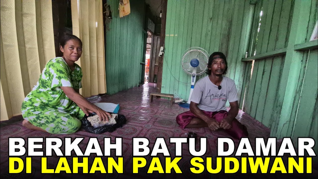 PAK @wanirantau  MELIHAT POTENSI LUAR BIASA DARI LAHAN PERTANIAN TRANSMIGRASI KALIMANTAN UTARA