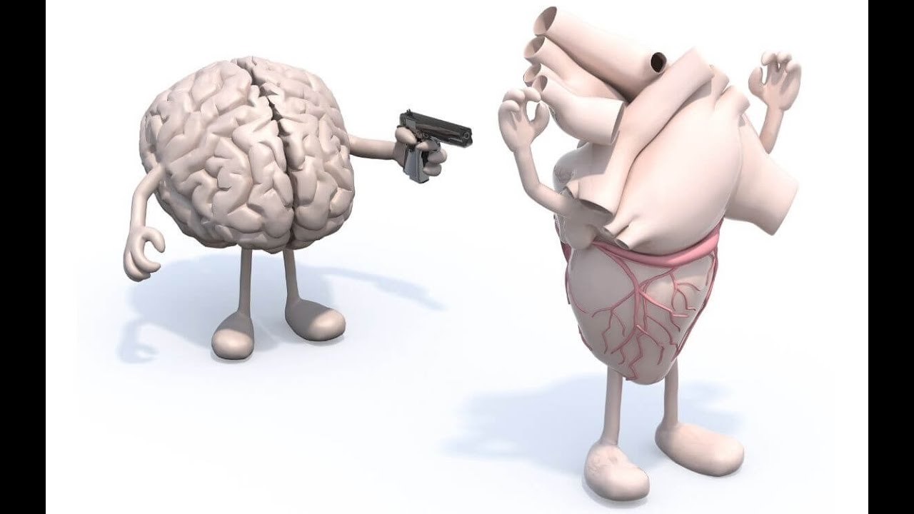 Logic vs Emotion
