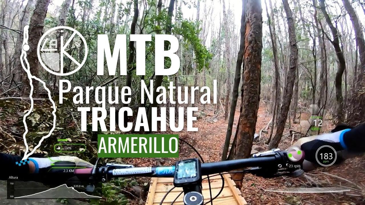 MTB Parque Natural Tricahue, Armerillo