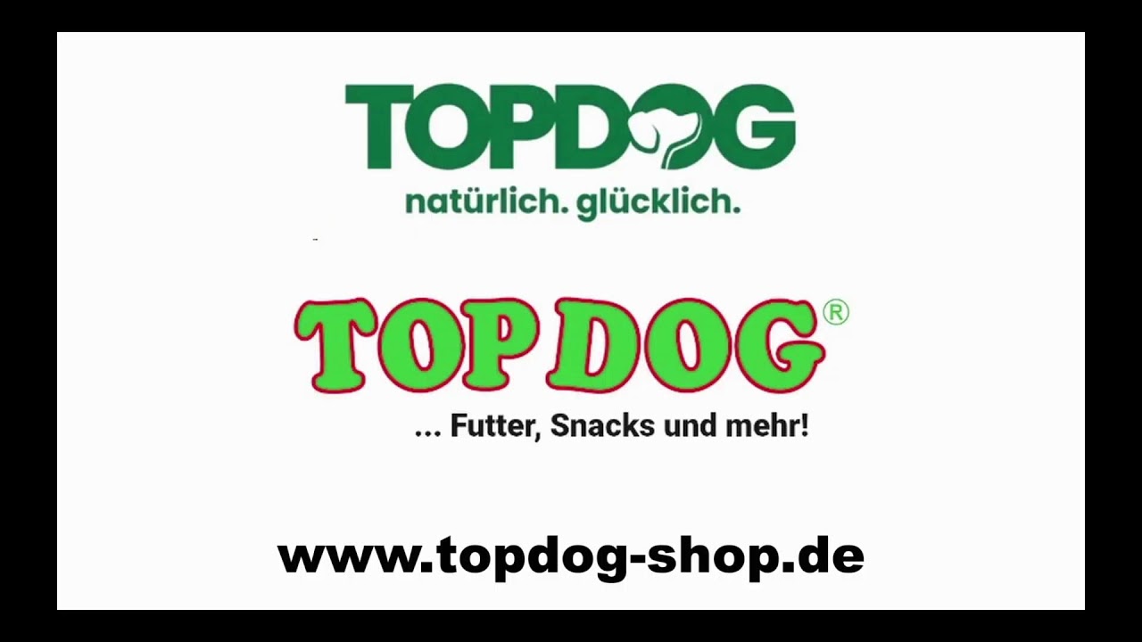 DogDance Deutsche Meisterschaft 2025