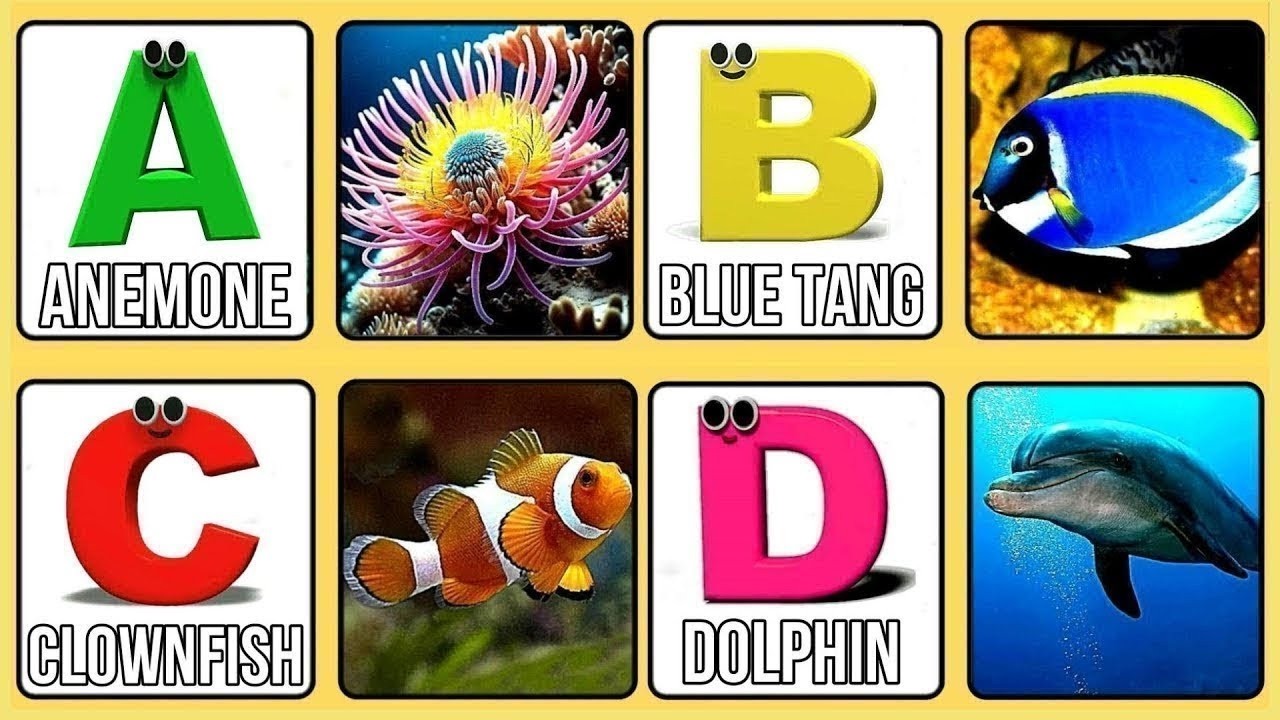 ABC Song | Sea Animals ABC Song | Phonics for Kids, Learn ABC, Baby Alphabet Letters