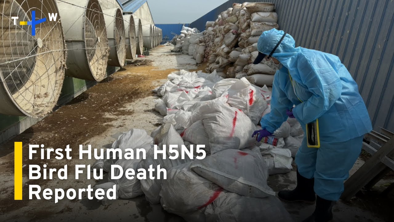 H5N5 Bird Flu Death in US Sees Response from Taiwan Authorities｜TaiwanPlus News