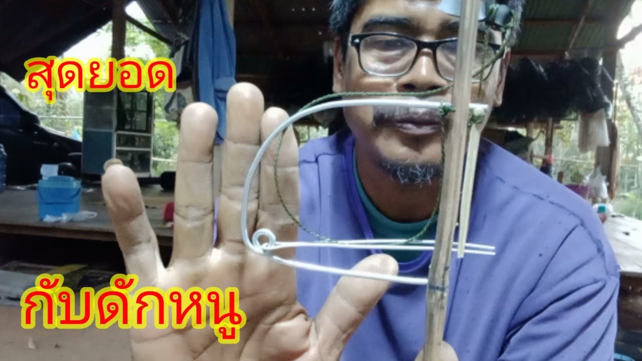 วิธีทำกับดักหนู ขอแค่เดินผ่าน เรียบร้อยทุกตัว