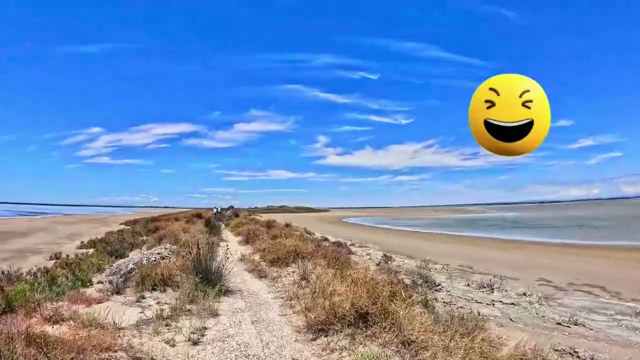Camargue Frankreich