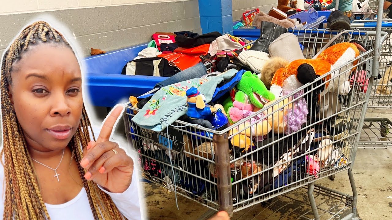 COME THRIFT WITH ME AT THE GOODWILL BINS!! Turning $24 into $300