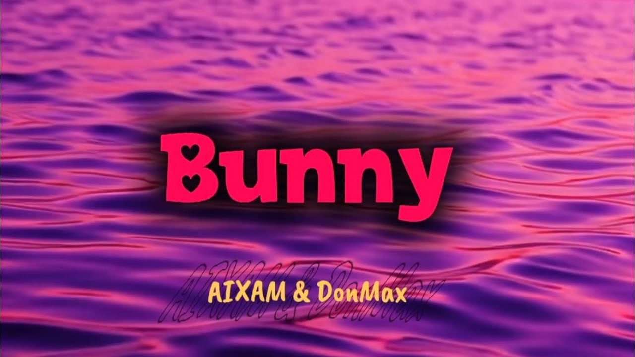 AIXAM & DonMax - Bunny (Official Lyric Video)