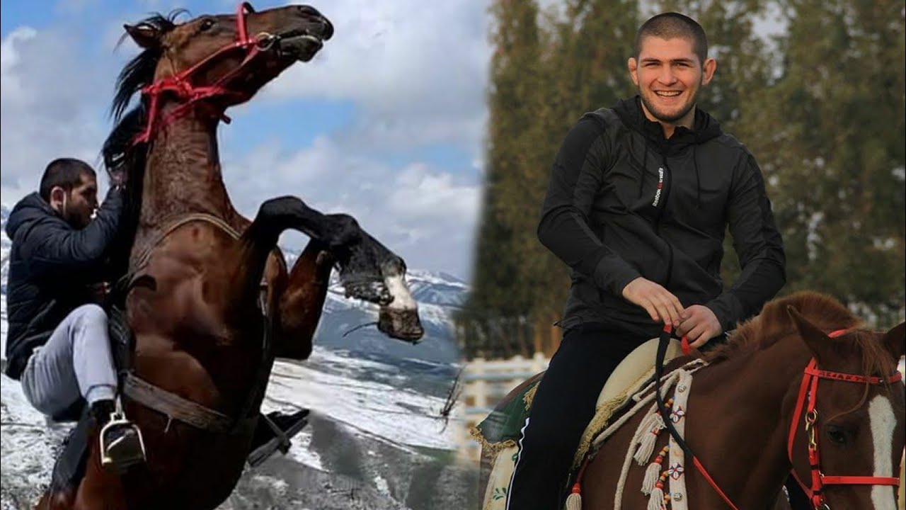 СИЛЬНАЯ ЛЮБОВЬ ИСЛАМА И ХАБИБА К ЛОШАДЯМ/ КРАСИВОЕ ВИДЕО/БОЕЦ UFC