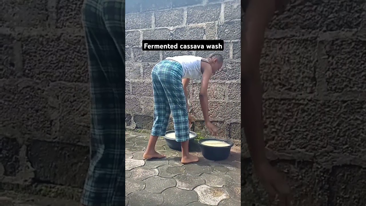 Washing out my fermented cassava. #food #cooking #cassava #fermentation#tapioca