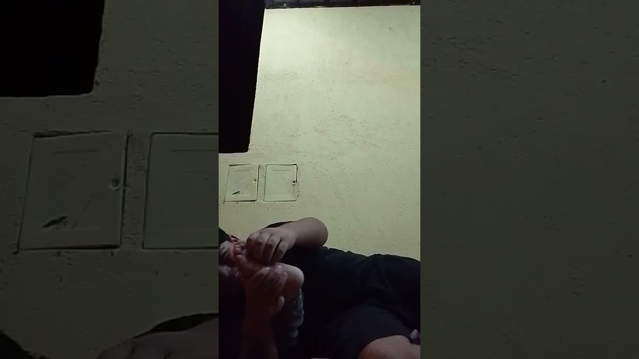 la pata del tinol sjsjsjdjs